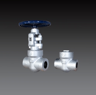 Forged Steel Valves - Class 1500 to 4500